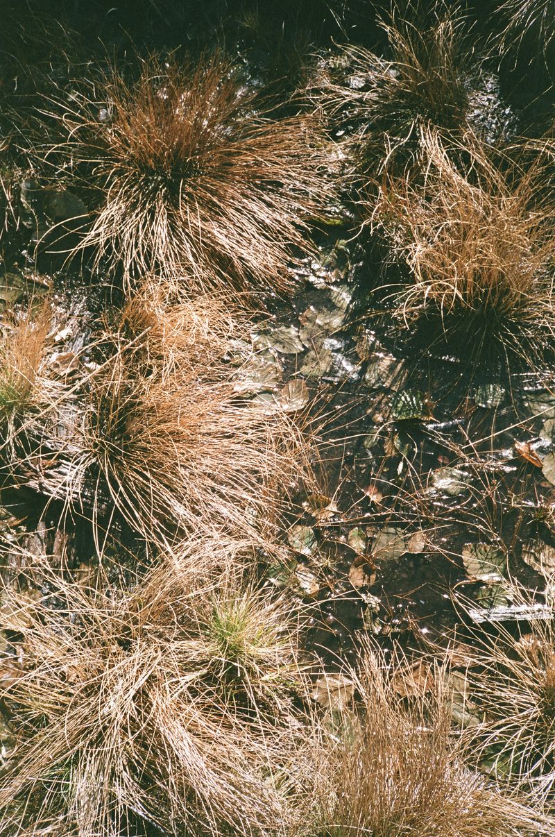 © Pandora Graessl - Image from the Life Matters photography project