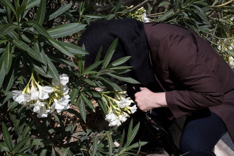 Mashid Mohadjerin Exhibition, Freedom is Not Free, Opening Soon at Pananti Atelier in Milan