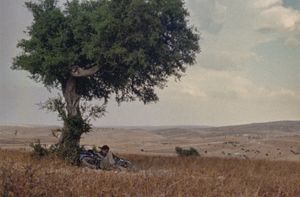 The Momentum of the Moment in Loose Fish