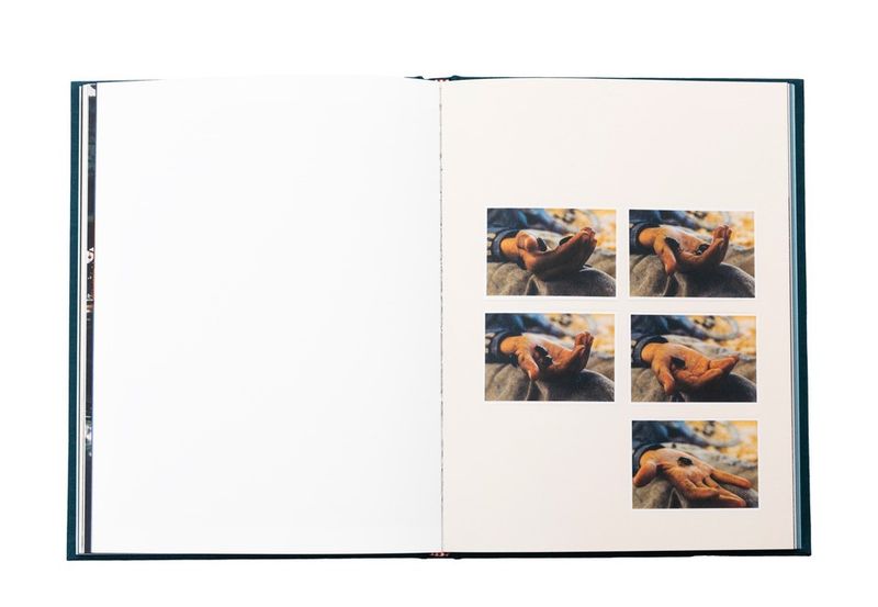 The Momentum of the Moment in Loose Fish