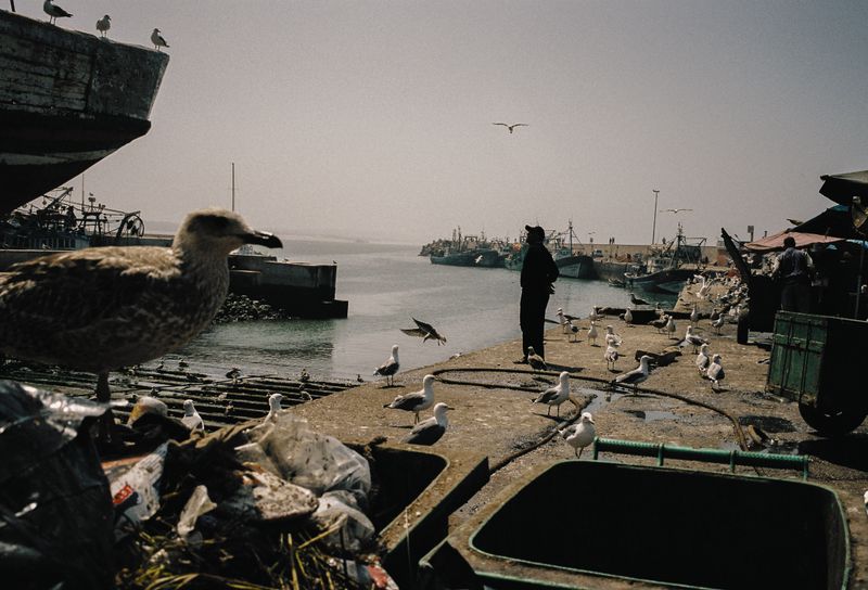 The Momentum of the Moment in Loose Fish