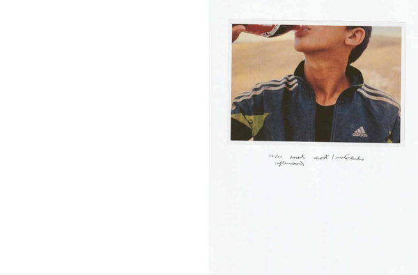 The Momentum of the Moment in Loose Fish