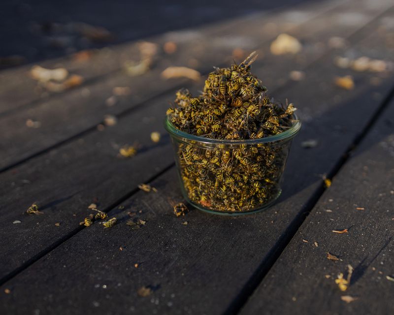 © Julia Vandenoever - Image from the While I Wait photography project