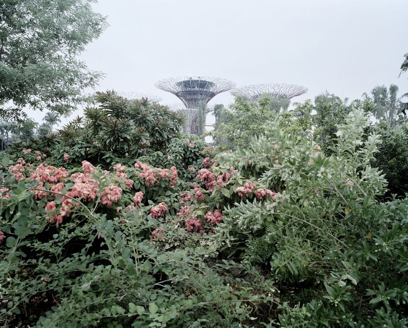 © Giulio Di Sturco - Image from the Aerotropolis, the way we will live next photography project