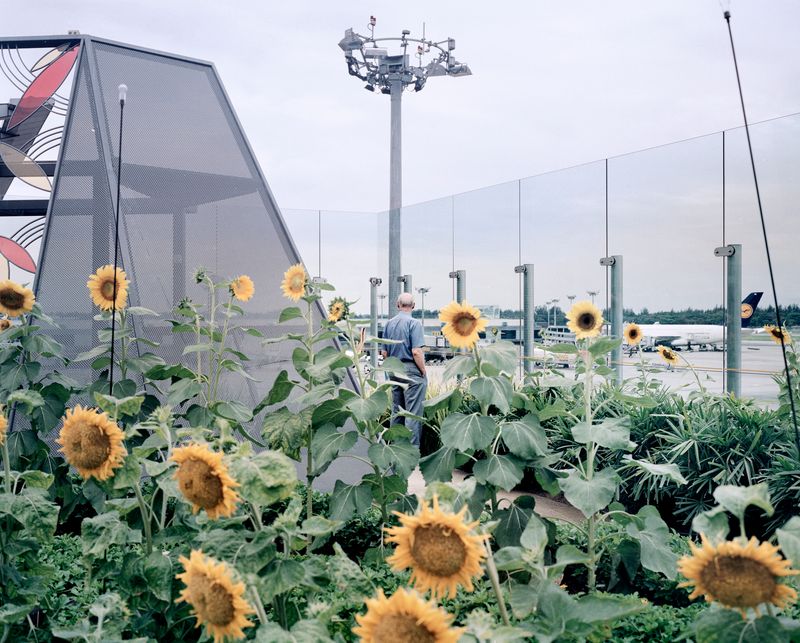 © Giulio Di Sturco - The 'cargo' runways and halls of Schiphol, with its logistics center that redistribute bundles of flowers throughout Europe.
