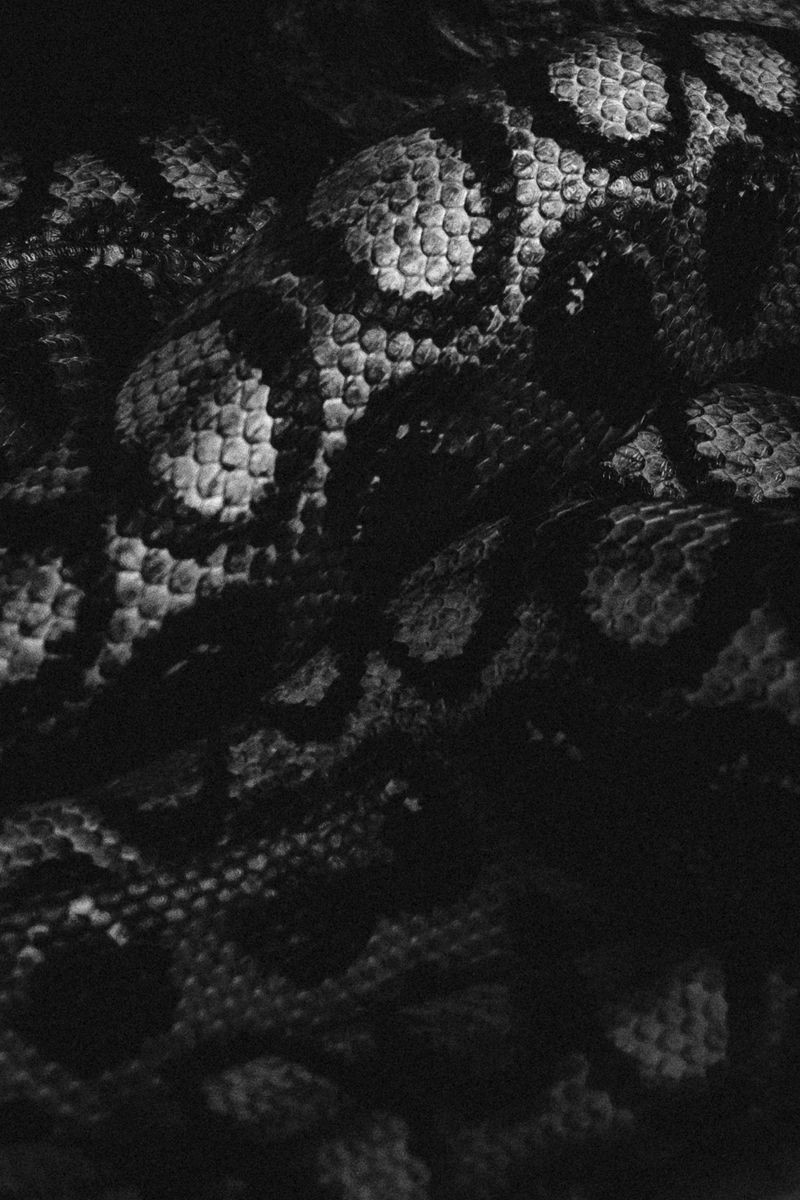 © Alejandra Vacuii - Image from the La Mala Fortuna photography project