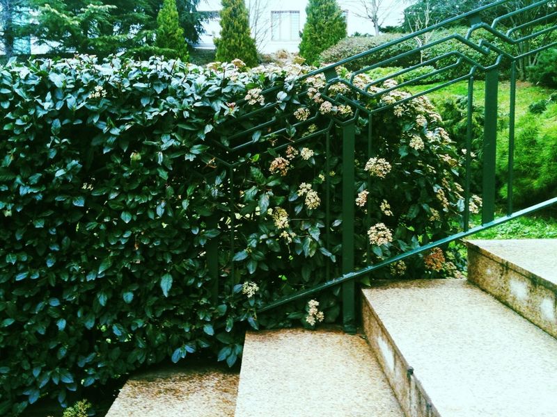 © Bora Ayonur - Image from the Confused photography project
