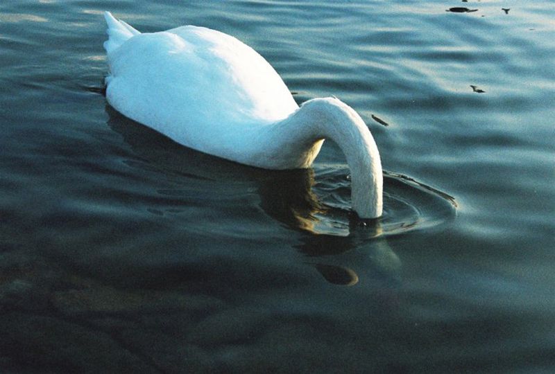 © Bora Ayonur - Image from the Confused photography project