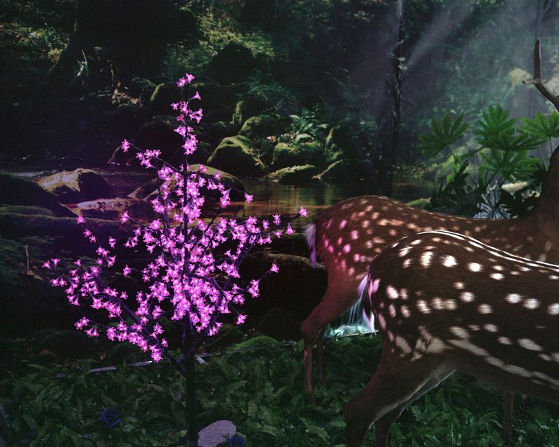 © Wenxin Zhang - Image from the Five Nights, Aquarium photography project