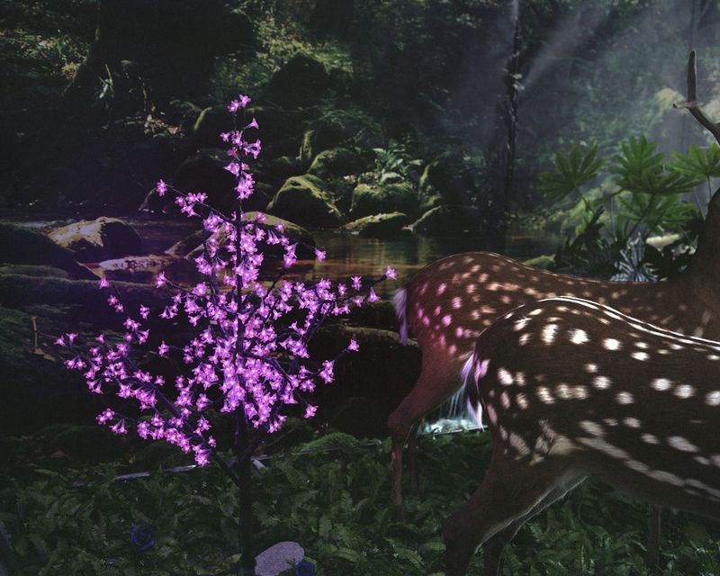 © Wenxin Zhang - Image from the Five Nights, Aquarium photography project