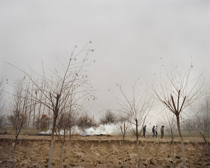 © Wenxin Zhang - Image from the Five Nights, Aquarium photography project