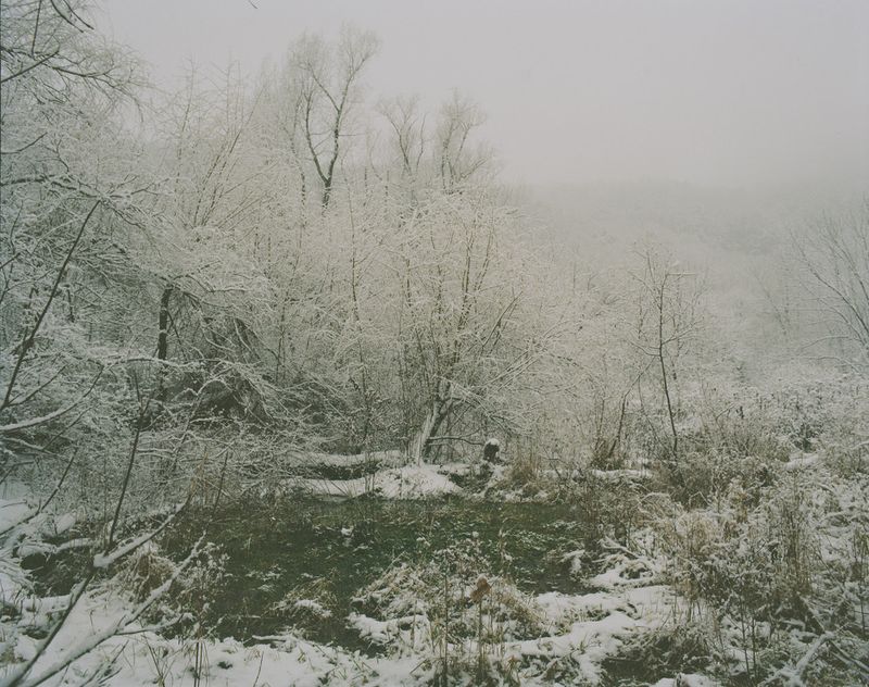 © Wenxin Zhang - Image from the Five Nights, Aquarium photography project