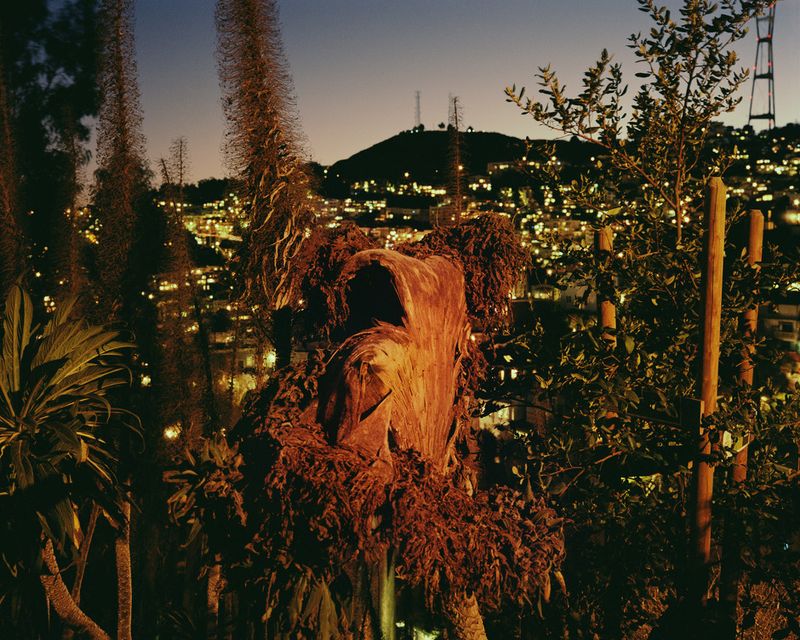 © Wenxin Zhang - Image from the Five Nights, Aquarium photography project