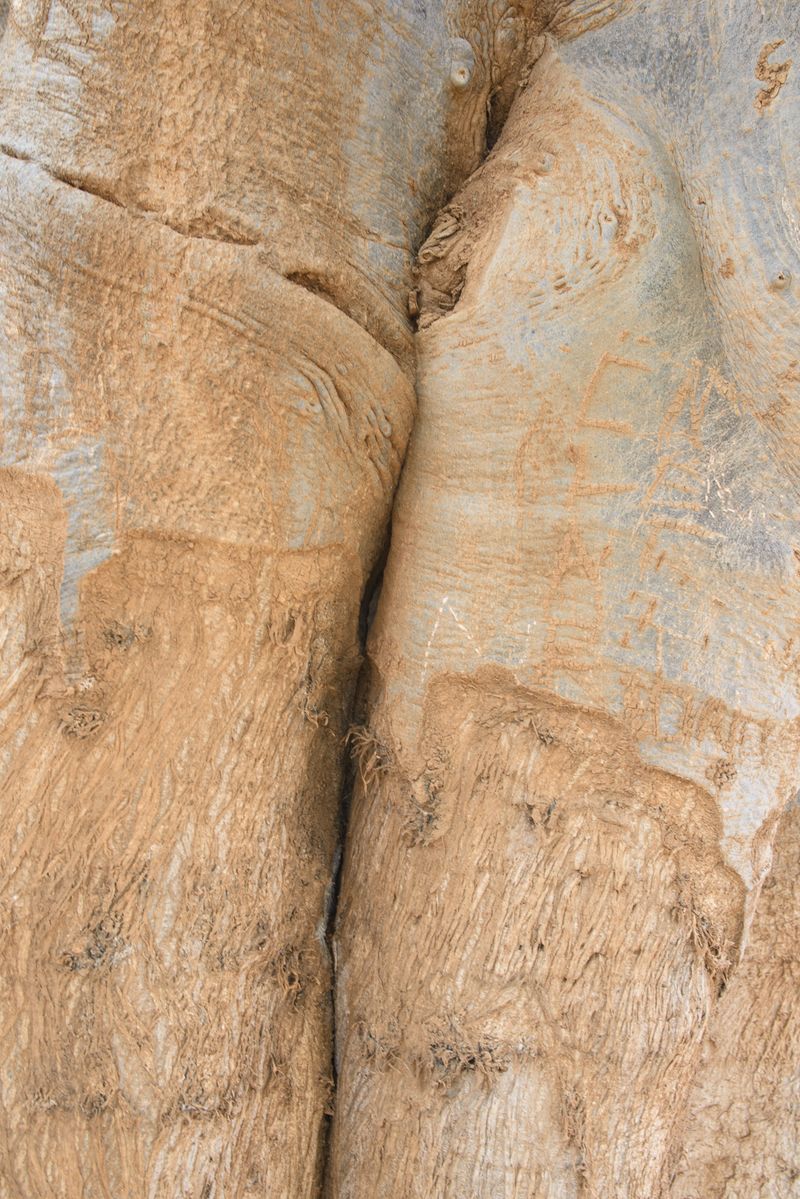 © Roberta Corregia - Image from the Namenala | I miss you photography project