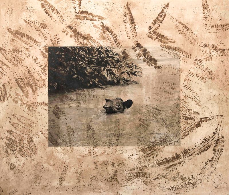 © Felipe Jacome - Image from the Oil Spill in the Amazon photography project