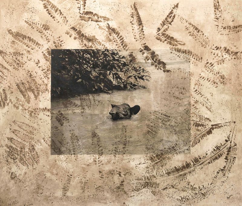 © Felipe Jacome - Image from the Oil Spill in the Amazon photography project