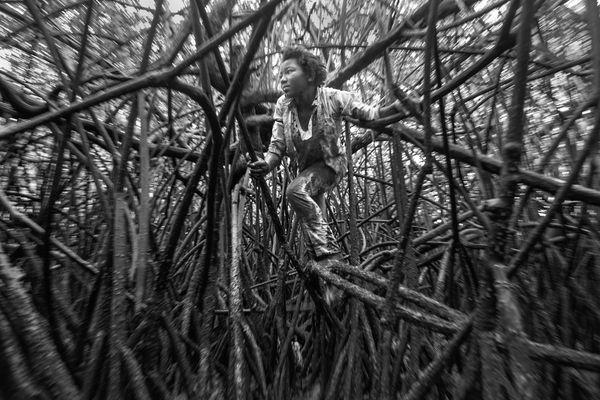 © Felipe Jacome - Image from the Lord of the mangrove photography project