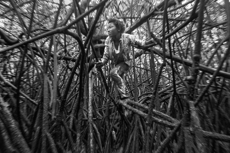 © Felipe Jacome - Image from the Lord of the mangrove photography project