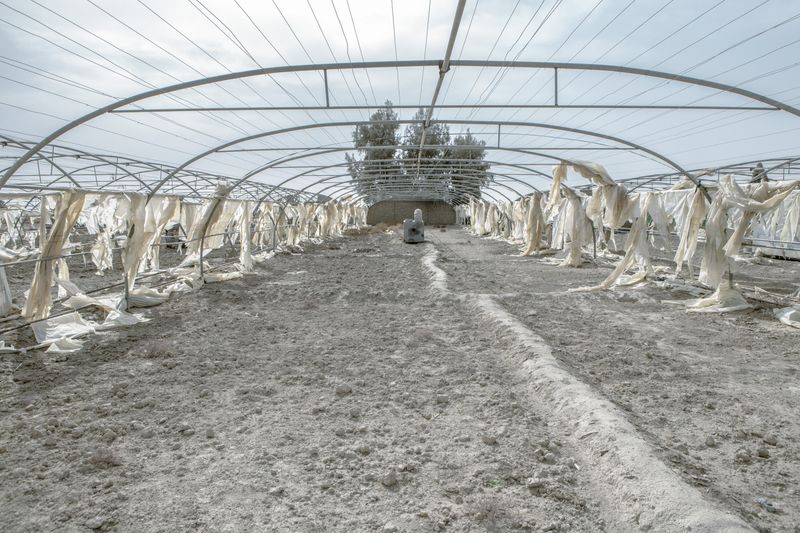 © Solmaz Daryani - Image from the In The Desert of Iran’s Wetlands photography project