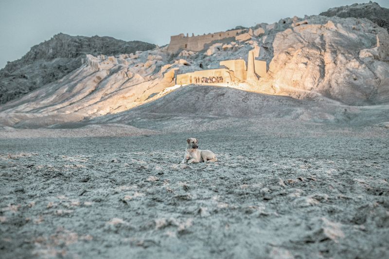 © Solmaz Daryani - Image from the In The Desert of Iran’s Wetlands photography project