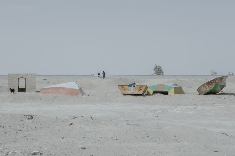 © Solmaz Daryani - Image from the In The Desert of Iran’s Wetlands photography project