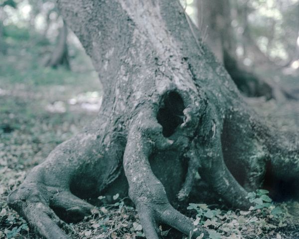 © Solmaz Daryani - Image from the Inside Out photography project