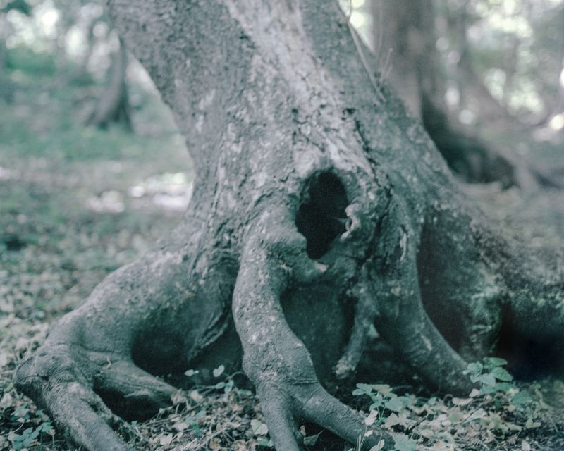 © Solmaz Daryani - Image from the Inside Out photography project