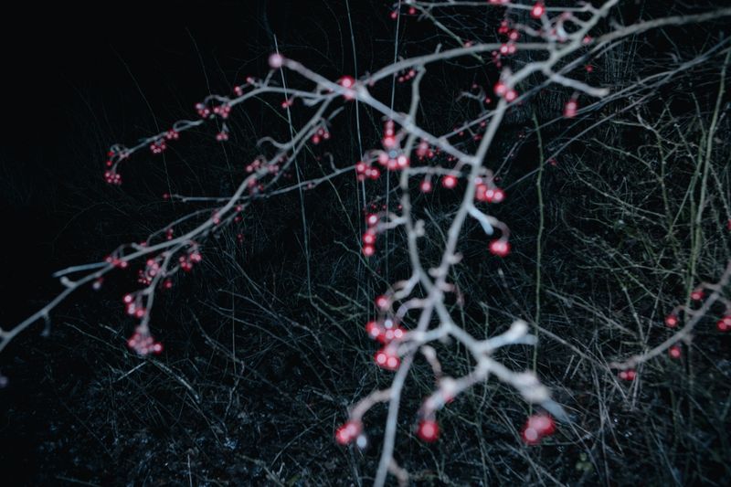 © Solmaz Daryani - Image from the Inside Out photography project