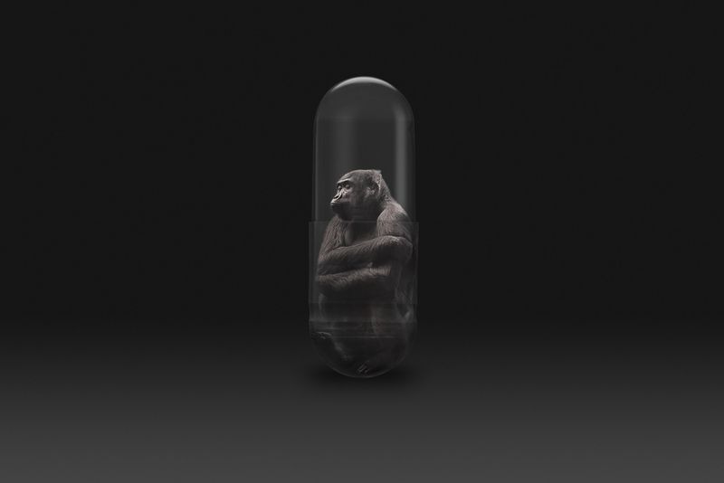 © Gianluca Micheletti - Image from the Lifepod photography project