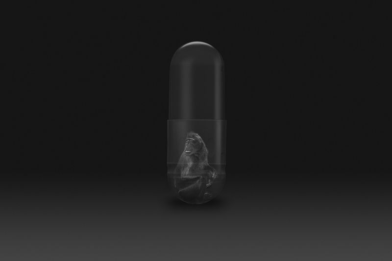 © Gianluca Micheletti - Image from the Lifepod photography project