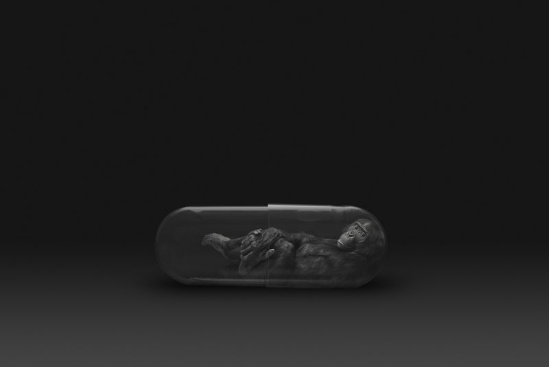 © Gianluca Micheletti - Image from the Lifepod photography project