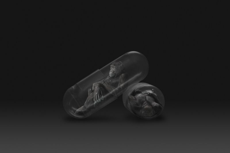 © Gianluca Micheletti - Image from the Lifepod photography project