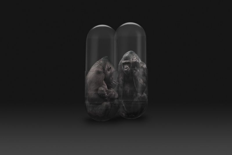 © Gianluca Micheletti - Image from the Lifepod photography project