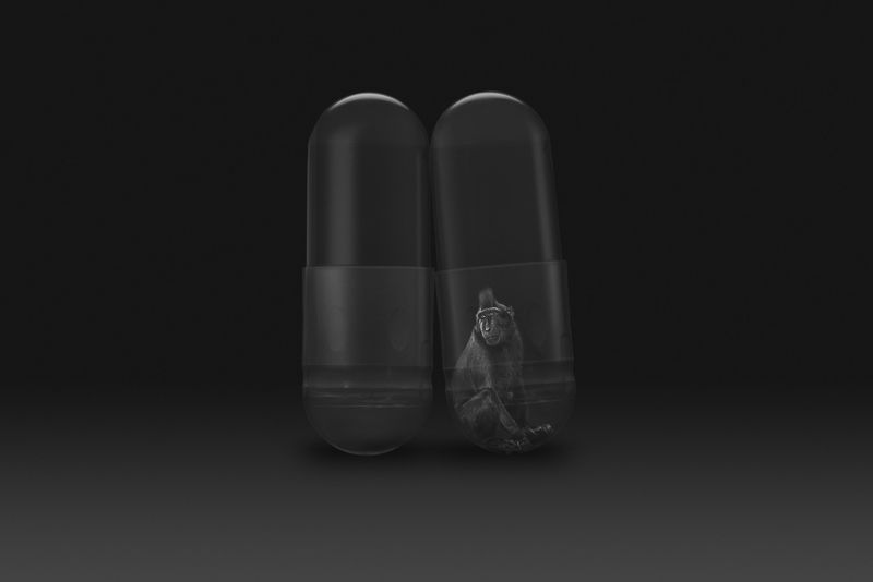 © Gianluca Micheletti - Image from the Lifepod photography project