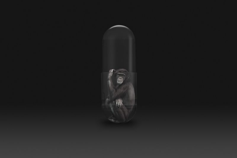 © Gianluca Micheletti - Image from the Lifepod photography project