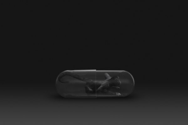 © Gianluca Micheletti - Image from the Lifepod photography project