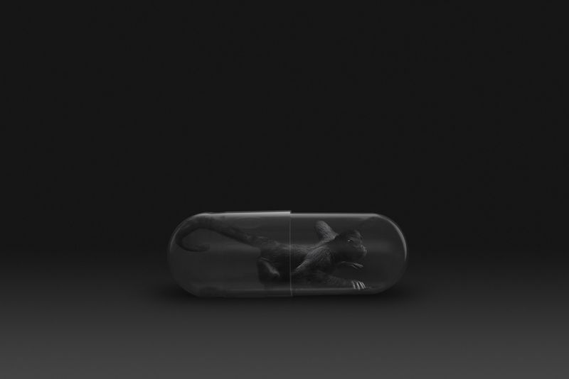 © Gianluca Micheletti - Image from the Lifepod photography project