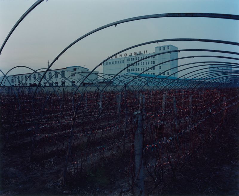 © Yuhang Jiang - Image from the As a spectatorserise photography project