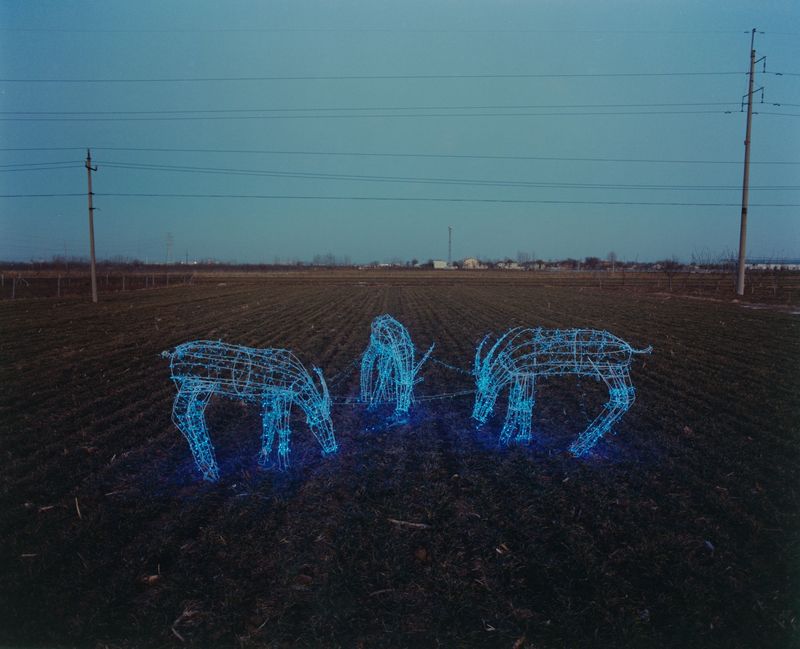 © Yuhang Jiang - Image from the As a spectatorserise photography project