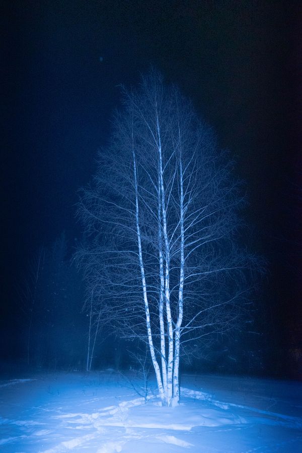 © Tatiana Mishchenko - Image from the Parallel voices photography project