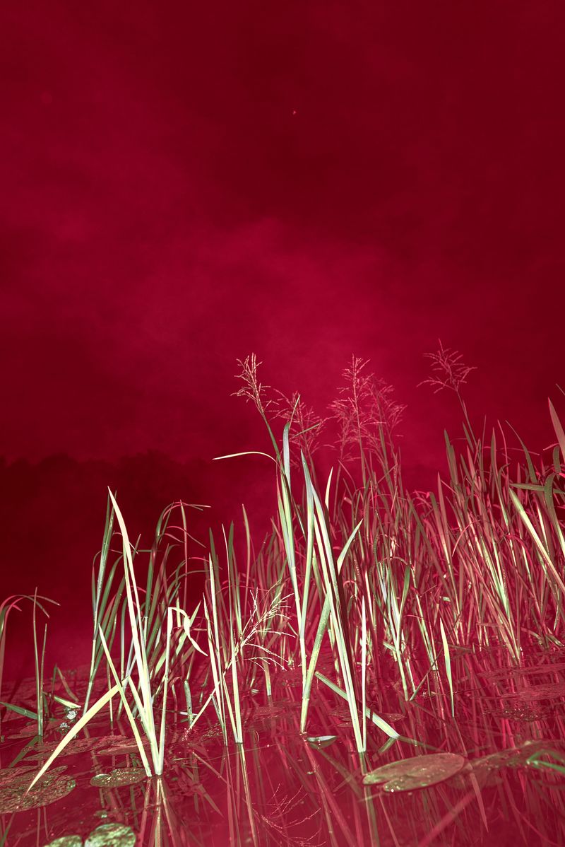 © Tatiana Mishchenko - Image from the Parallel voices photography project