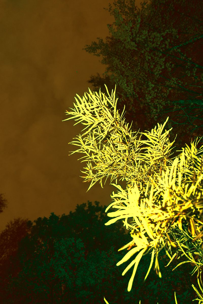 © Tatiana Mishchenko - Image from the Parallel voices photography project