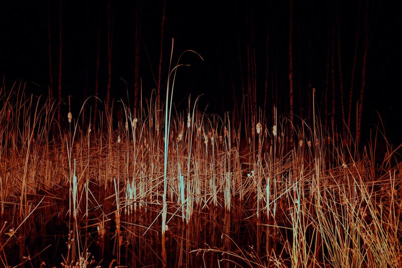 © Tatiana Mishchenko - Image from the Parallel voices photography project