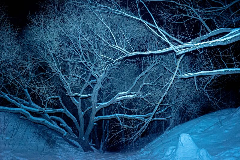 © Tatiana Mishchenko - Image from the Parallel voices photography project