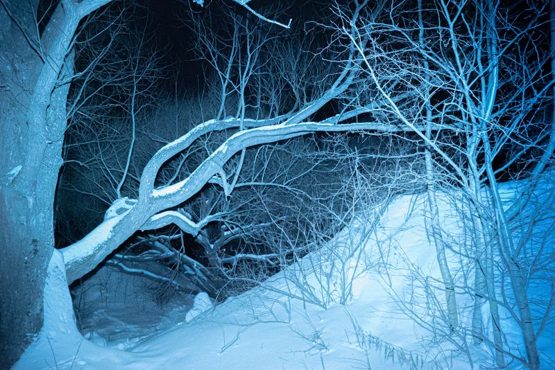 © Tatiana Mishchenko - Image from the Parallel voices photography project