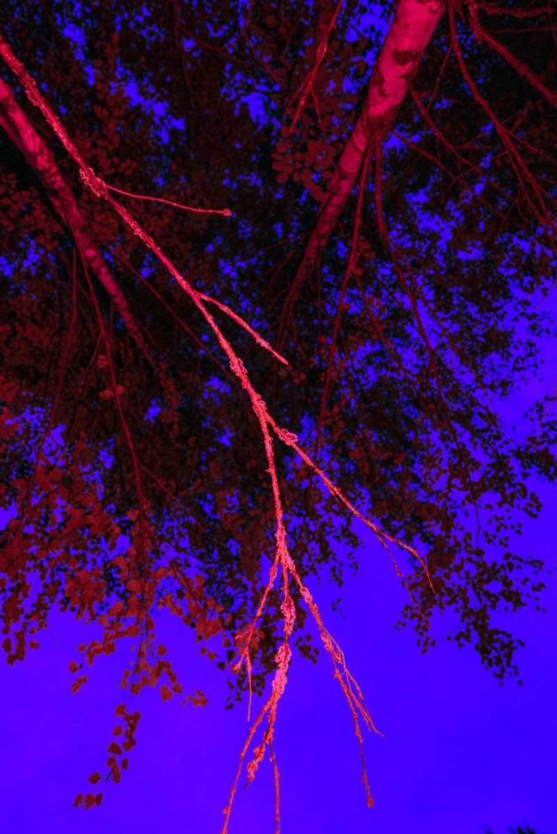 © Tatiana Mishchenko - Image from the Parallel voices photography project