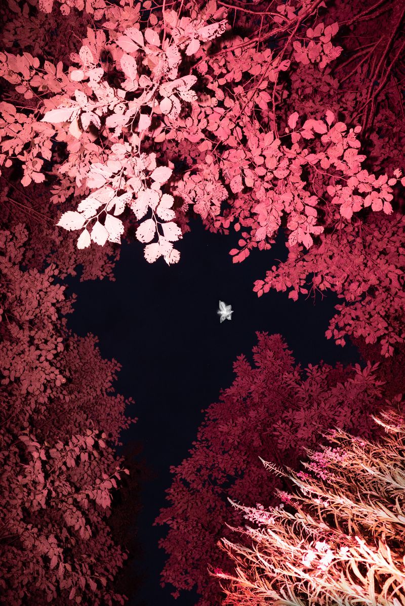 © Tatiana Mishchenko - Image from the Parallel voices photography project