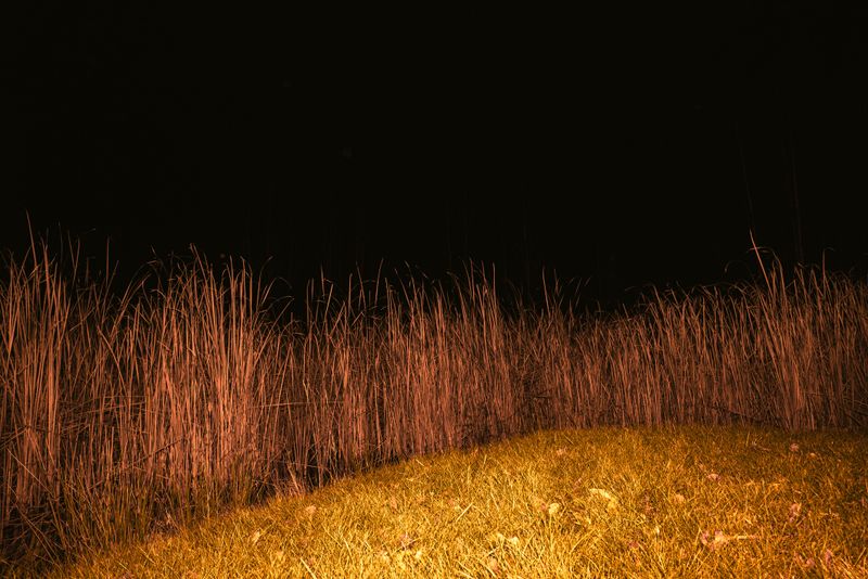 © Tatiana Mishchenko - Image from the Parallel voices photography project