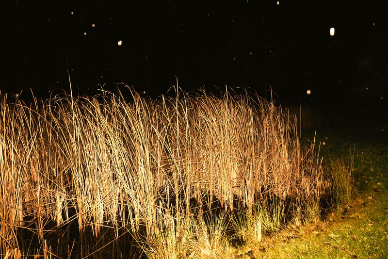 © Tatiana Mishchenko - Image from the Parallel voices photography project