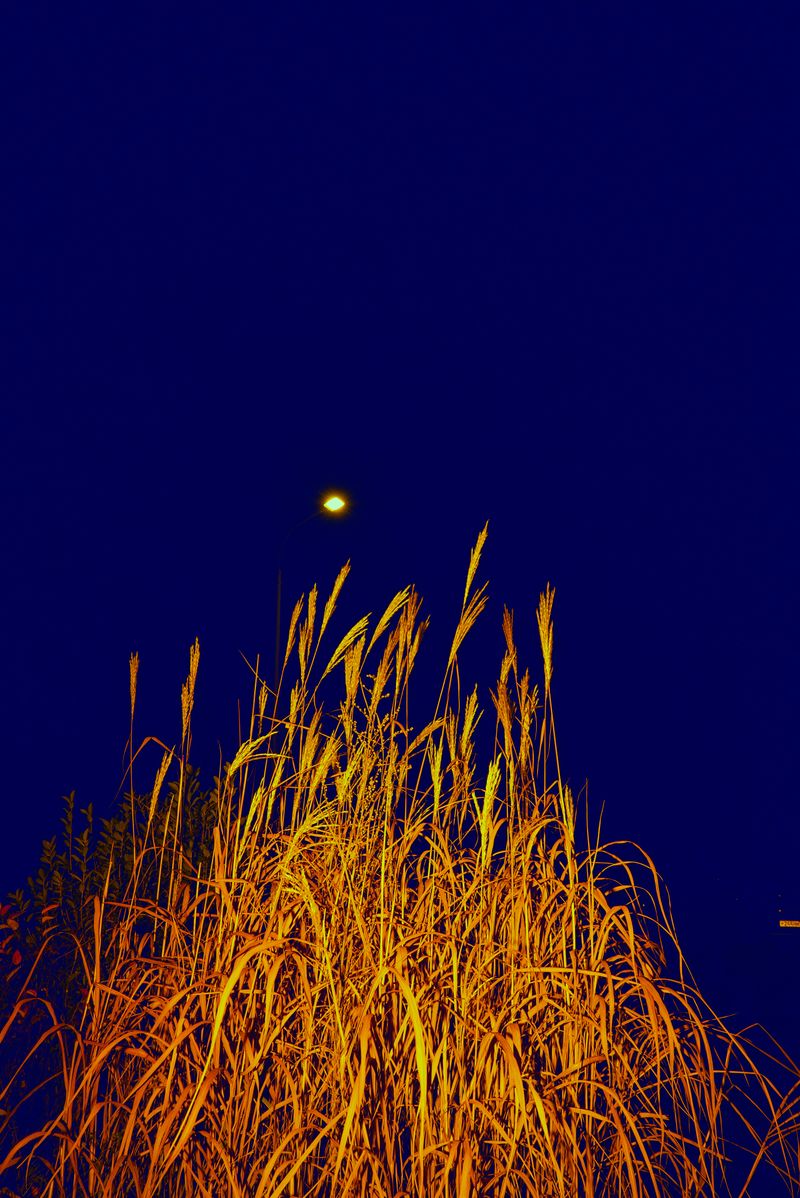 © Tatiana Mishchenko - Image from the Parallel voices photography project